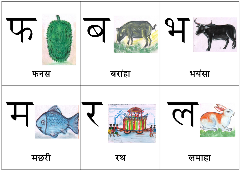 Halbi Language | Halbi Land